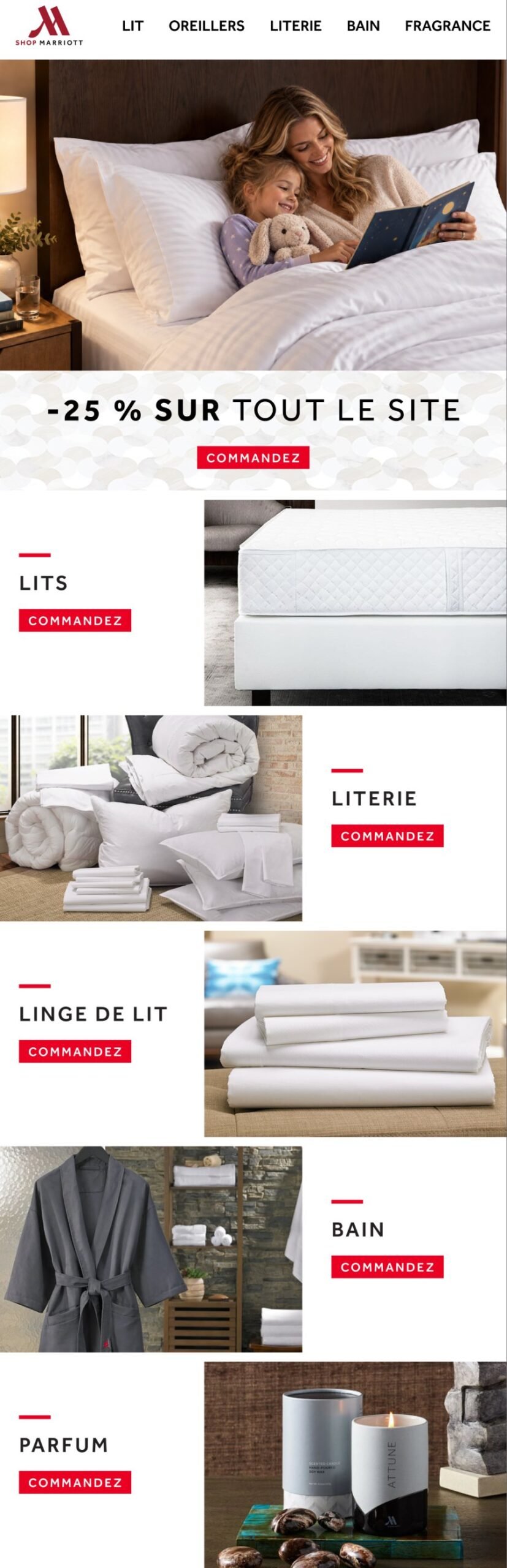 Launch email in French